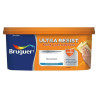 Pintura plástica blanca 4L Bruguer Ultra Resist
